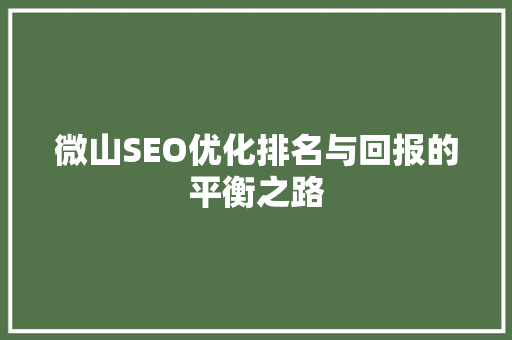 微山SEO优化排名与回报的平衡之路
