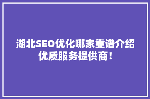 湖北SEO优化哪家靠谱介绍优质服务提供商！