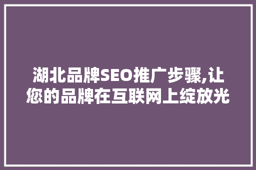 湖北品牌SEO推广步骤,让您的品牌在互联网上绽放光彩  第1张