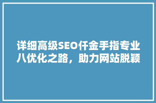 详细高级SEO仟金手指专业八优化之路，助力网站脱颖而出