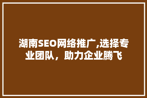 湖南SEO网络推广,选择专业团队，助力企业腾飞