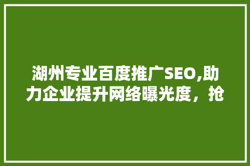 湖州专业百度推广SEO,助力企业提升网络曝光度，抢占市场先机