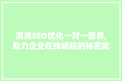 滨海SEO优化一对一服务,助力企业在线崛起的秘密武器