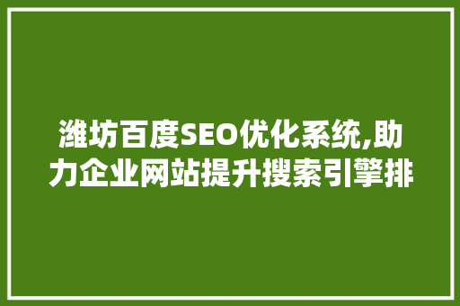 潍坊百度SEO优化系统,助力企业网站提升搜索引擎排名，抢占互联网市场先机