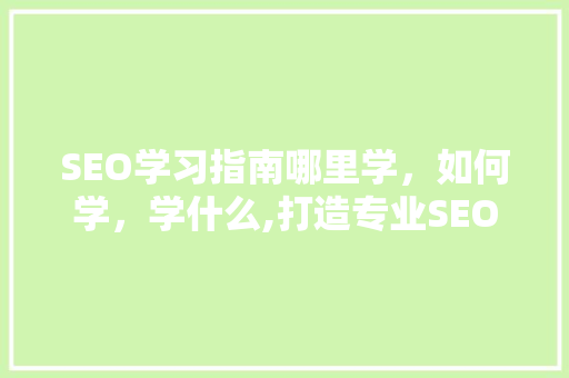 SEO学习指南哪里学，如何学，学什么,打造专业SEO高手