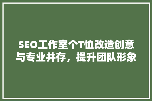 SEO工作室个T恤改造创意与专业并存，提升团队形象与凝聚力  第1张