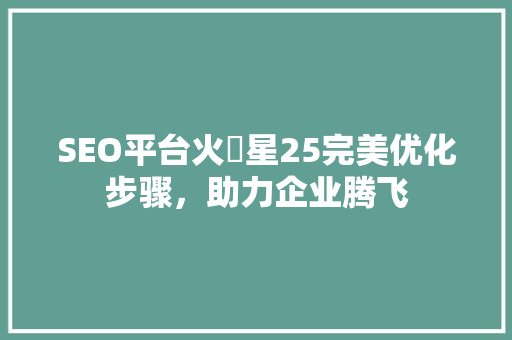 SEO平台火乛星25完美优化步骤，助力企业腾飞