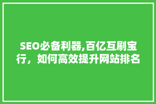 SEO必备利器,百亿互刷宝行，如何高效提升网站排名