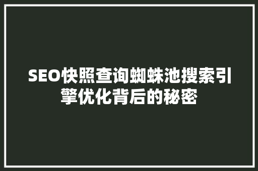 SEO快照查询蜘蛛池搜索引擎优化背后的秘密  第1张