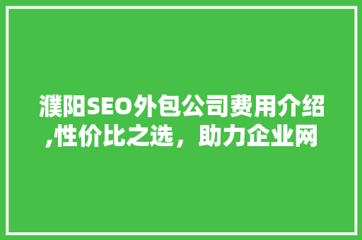 濮阳SEO外包公司费用介绍,性价比之选，助力企业网络营销