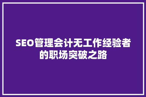 SEO管理会计无工作经验者的职场突破之路  第1张