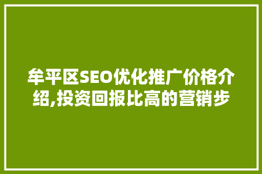 牟平区SEO优化推广价格介绍,投资回报比高的营销步骤  第1张
