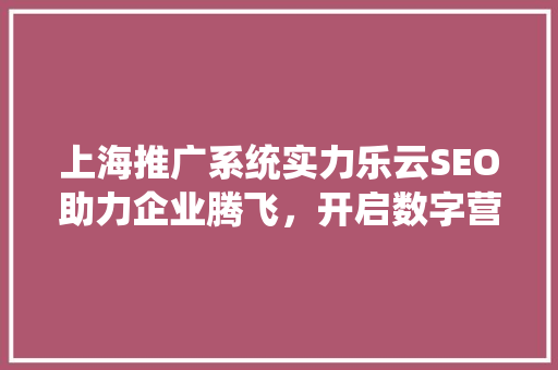 上海推广系统实力乐云SEO助力企业腾飞，开启数字营销新时代