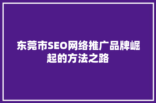 东莞市SEO网络推广品牌崛起的方法之路