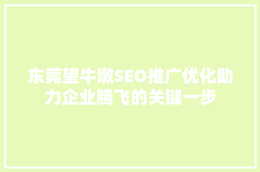 东莞望牛墩SEO推广优化助力企业腾飞的关键一步