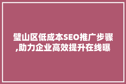 璧山区低成本SEO推广步骤,助力企业高效提升在线曝光