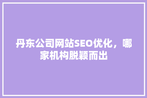 丹东公司网站SEO优化，哪家机构脱颖而出