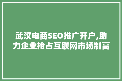 武汉电商SEO推广开户,助力企业抢占互联网市场制高点  第1张