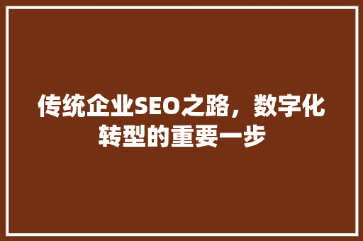 传统企业SEO之路，数字化转型的重要一步