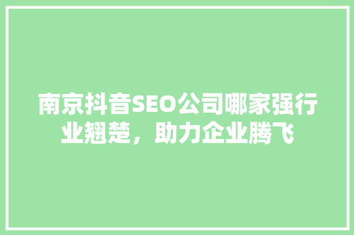 南京抖音SEO公司哪家强行业翘楚，助力企业腾飞