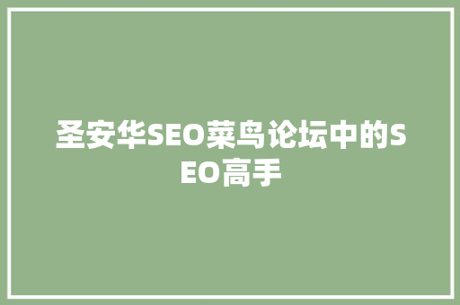 圣安华SEO菜鸟论坛中的SEO高手