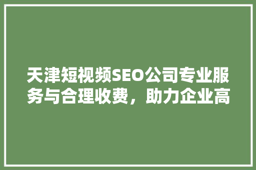 天津短视频SEO公司专业服务与合理收费，助力企业高效推广