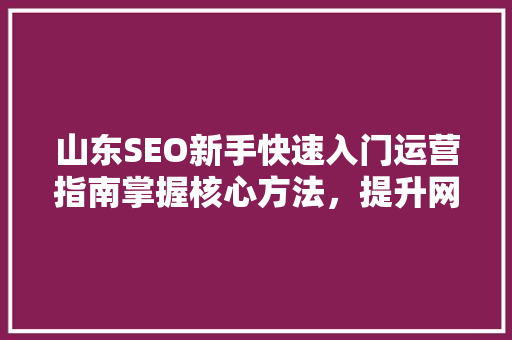 山东SEO新手快速入门运营指南掌握核心方法，提升网站排名