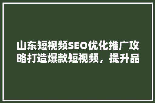 山东短视频SEO优化推广攻略打造爆款短视频，提升品牌影响力