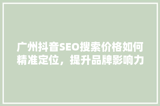 广州抖音SEO搜索价格如何精准定位，提升品牌影响力