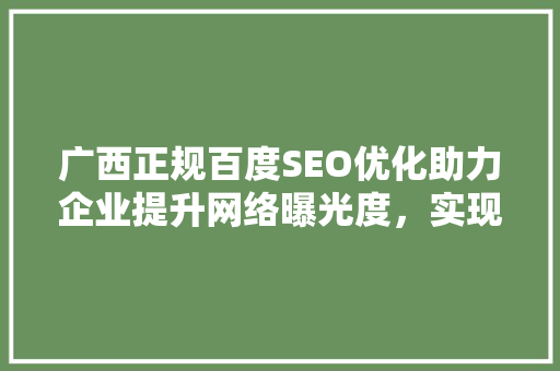 广西正规百度SEO优化助力企业提升网络曝光度，实现品牌价值最大化