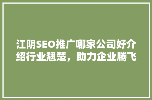 江阴SEO推广哪家公司好介绍行业翘楚，助力企业腾飞