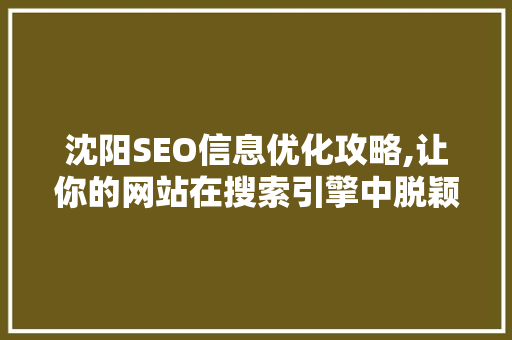 沈阳SEO信息优化攻略,让你的网站在搜索引擎中脱颖而出  第1张