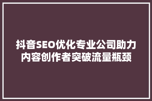 抖音SEO优化专业公司助力内容创作者突破流量瓶颈