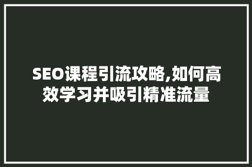 SEO课程引流攻略,如何高效学习并吸引精准流量