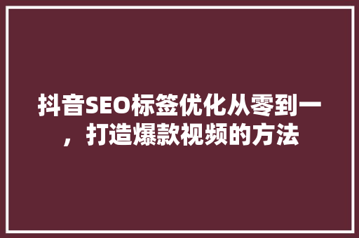 抖音SEO标签优化从零到一，打造爆款视频的方法