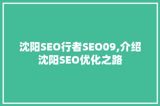 沈阳SEO行者SEO09,介绍沈阳SEO优化之路