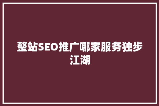 整站SEO推广哪家服务独步江湖  第1张