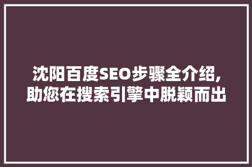 沈阳百度SEO步骤全介绍,助您在搜索引擎中脱颖而出