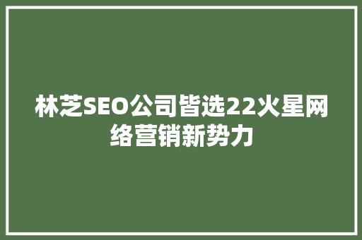 林芝SEO公司皆选22火星网络营销新势力