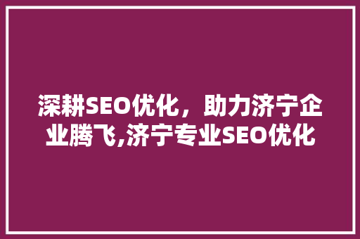 深耕SEO优化，助力济宁企业腾飞,济宁专业SEO优化网站公司