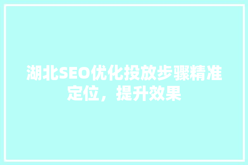 湖北SEO优化投放步骤精准定位，提升效果