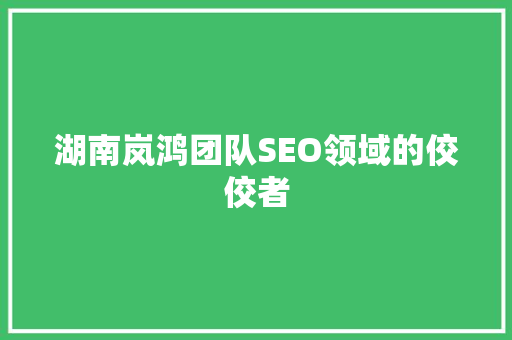 湖南岚鸿团队SEO领域的佼佼者