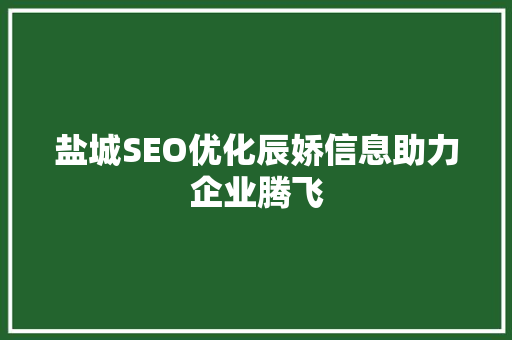 盐城SEO优化辰娇信息助力企业腾飞