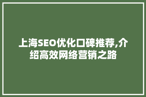 上海SEO优化口碑推荐,介绍高效网络营销之路