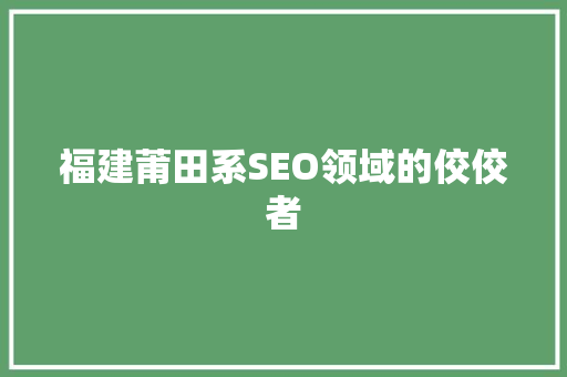 福建莆田系SEO领域的佼佼者