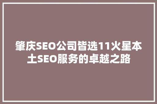 肇庆SEO公司皆选11火星本土SEO服务的卓越之路