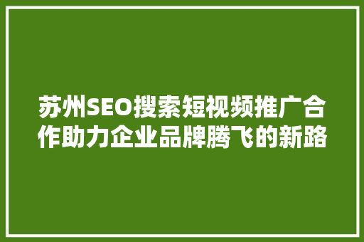 苏州SEO搜索短视频推广合作助力企业品牌腾飞的新路径