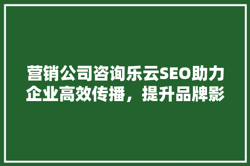 营销公司咨询乐云SEO助力企业高效传播，提升品牌影响力