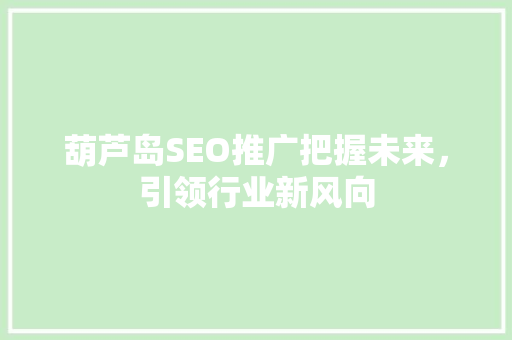 葫芦岛SEO推广把握未来，引领行业新风向