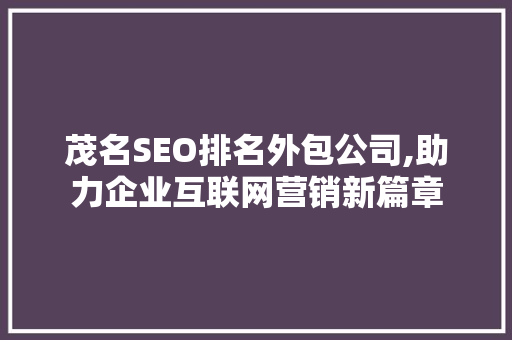 茂名SEO排名外包公司,助力企业互联网营销新篇章